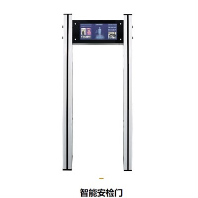 盛視/Maxvision SS800 門禁系統(tǒng) 安檢門